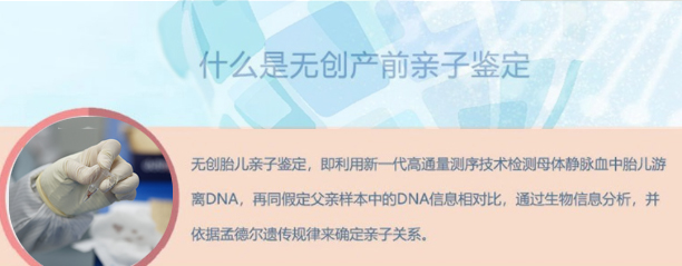 辽宁怀孕如何办理DNA鉴定,辽宁孕期亲子鉴定办理条件