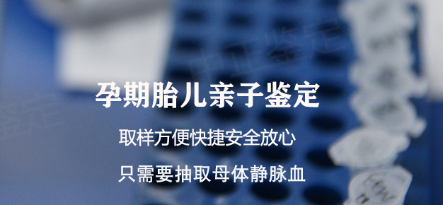 辽宁省如何做孕期亲子鉴定,