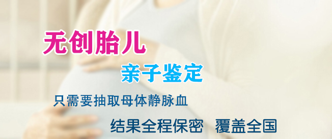 辽宁需要怎么做孕期亲子鉴定,