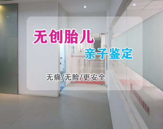 辽宁产前亲子鉴定多少钱,