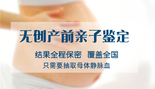 辽宁怀孕如何办理DNA鉴定,辽宁孕期亲子鉴定办理条件