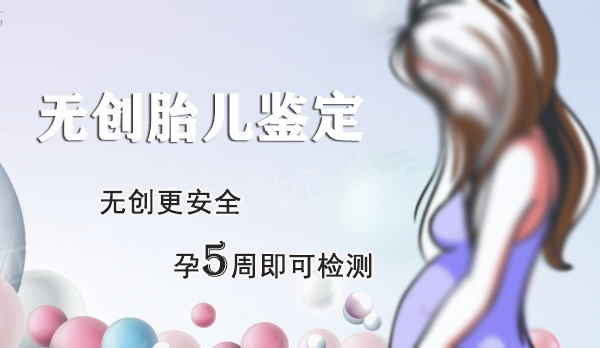 辽宁孕期亲子鉴定预约流程,