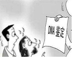 辽宁DNA鉴定机构咨询预约,辽宁亲子鉴定中心地址在哪里 辽宁DNA鉴定机构咨询预约,辽宁亲子鉴定中心地址在哪里